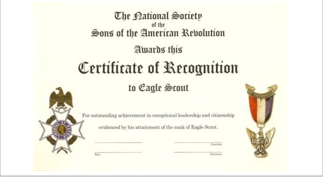National Society Sons of the American Revolution Eagle Scout Official Certificate of Recognition Display